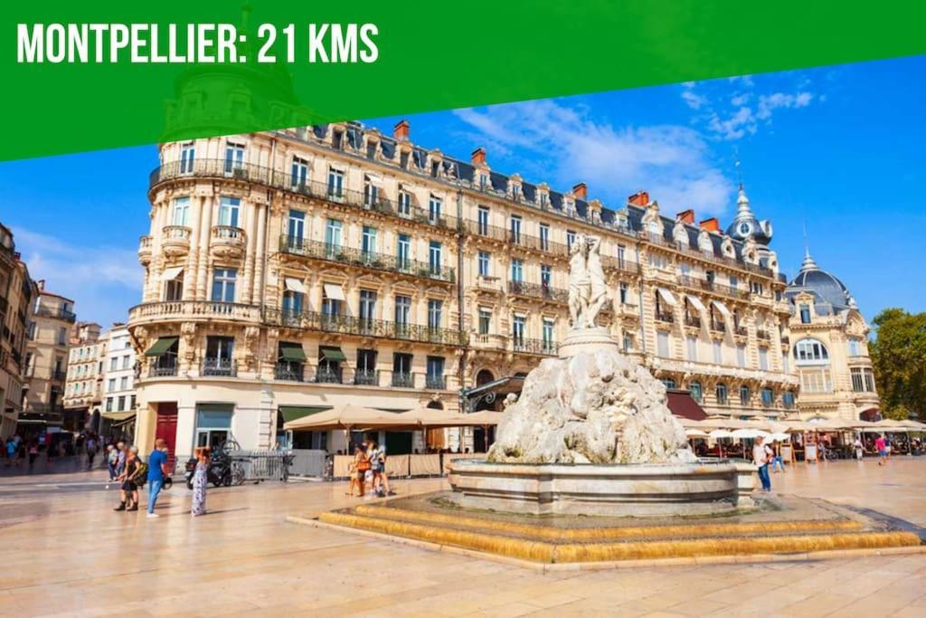 Le Palais Maya - Lumineux - Wifi La Grande Motte Bagian luar foto